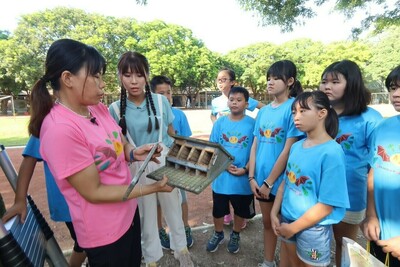 雲林縣誠正國小｜最幸蝠的小學 學校的住客 蝙蝠