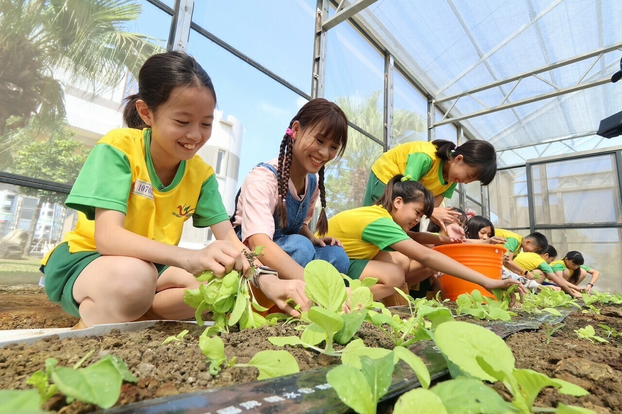 台南市官田國小｜菱角的故鄉 水雉復育大行動